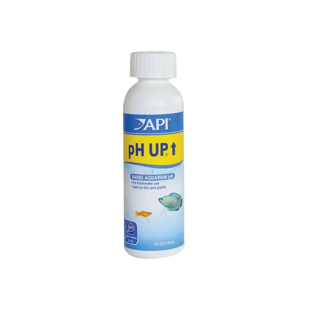 Buy API pH Up 118ml Online India, aquarium pH increaser India, freshwater pH booster solution, API water conditioner price India, raise aquarium pH safely, fish tank alkaline water treatment, API aquarium treatment 118ml, African cichlid pH adjustment, aquarium water chemistry products India