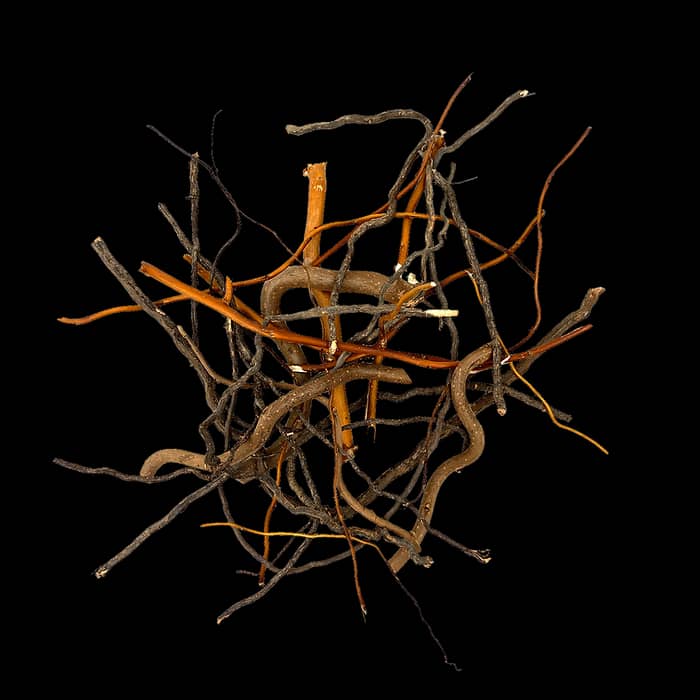 Buy WIO Mix Roots 140g Online India, aquarium root decoration India, mixed root aquascaping material, biotope aquarium root mix, paludarium root decor, WIO mix roots, natural aquascape root detailing, riverbank aquascaping materials
