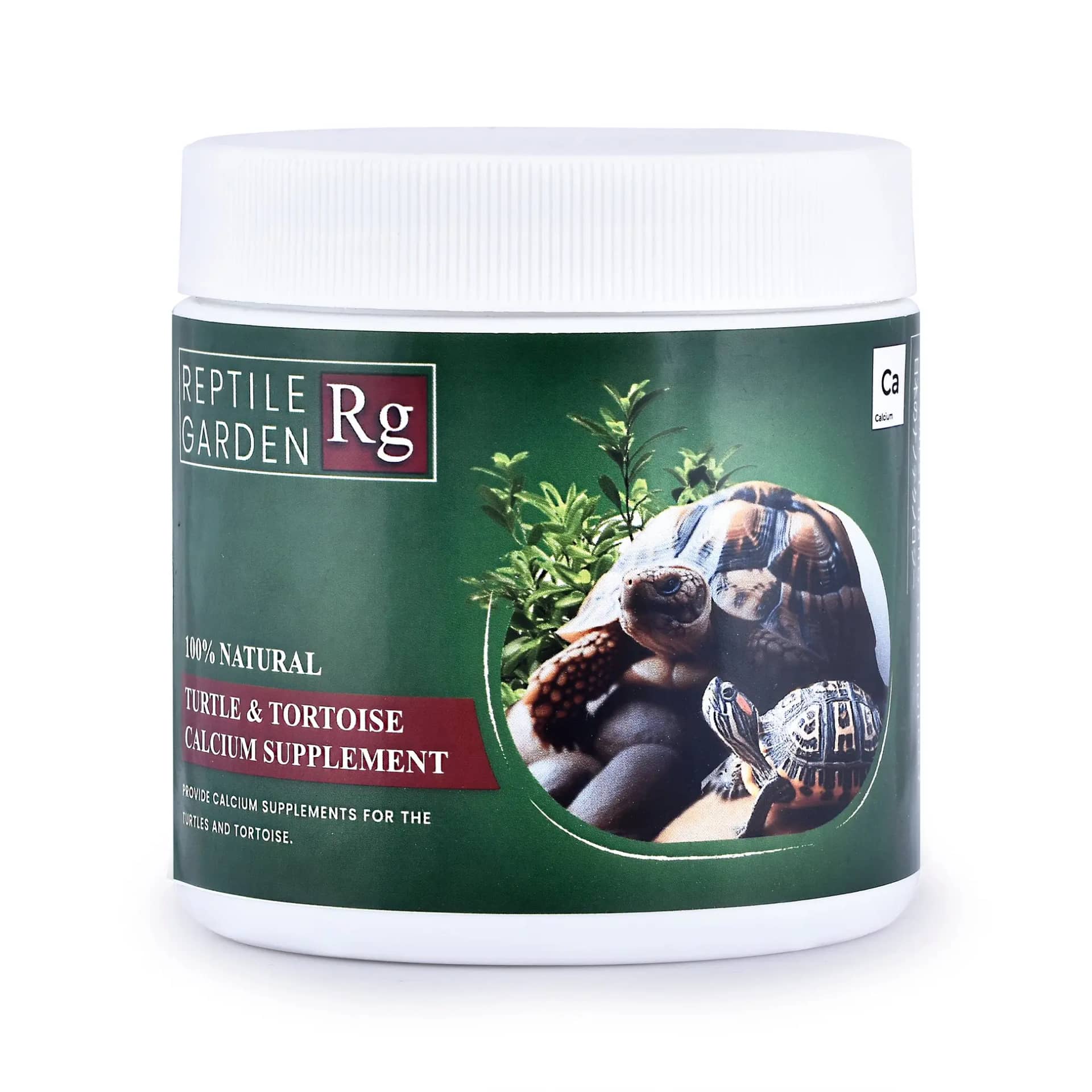 Reptile Garden Turtle & Tortoise Calcium Supplement - turtle calcium supplement India, tortoise calcium powder, reptile calcium supplement with vitamin D, calcium supplement for turtles and tortoises, natural reptile calcium supplement, stress relieving essential oils for reptiles, aquarium products india calcium supplement, turtle shell health supplement, vitamin D K calcium reptile, reptile garden calcium supplement