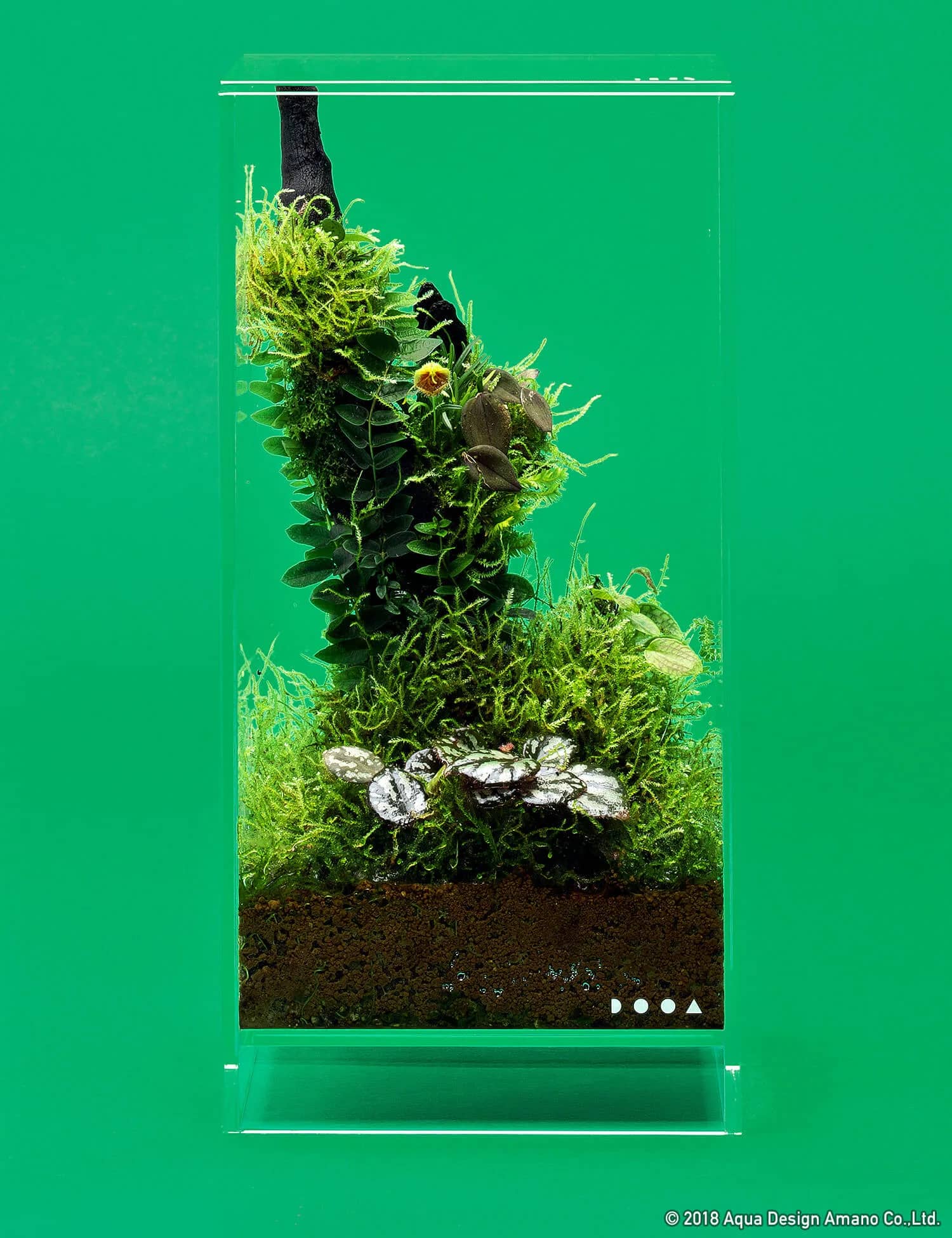 DOOA Neo Glass AIR W20×D20×H35 (cm)