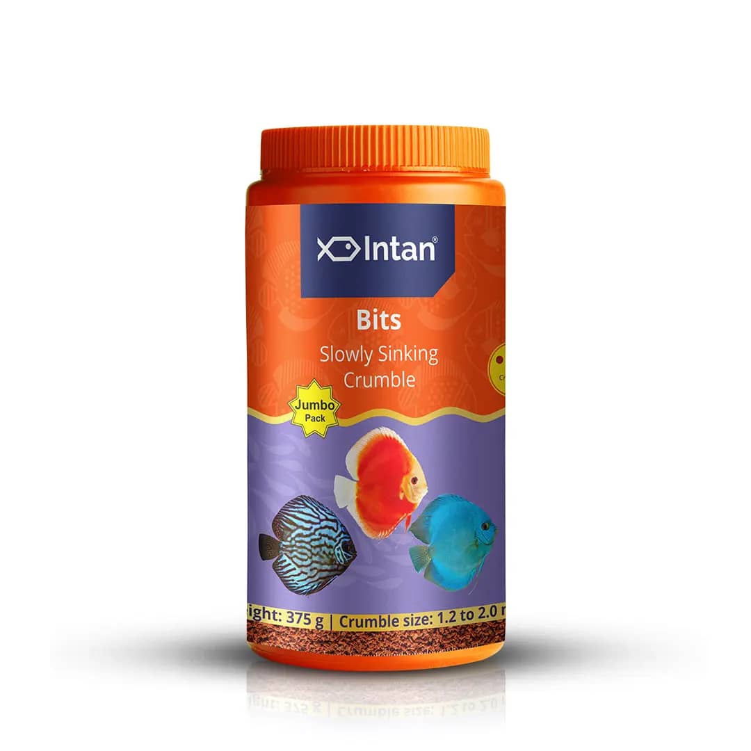 Intan Bits - Slow Sinking Fish Food | Crumble - Intan Bits fish food, slow sinking crumble for discus, Discus fish food India, colour enhancing fish food, Antarctic krill fish feed, community fish food for Danios and Barbs, high protein discus food, best food for vibrant fish colours