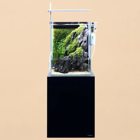 DOOA CO2 System Kit | Aqua Club