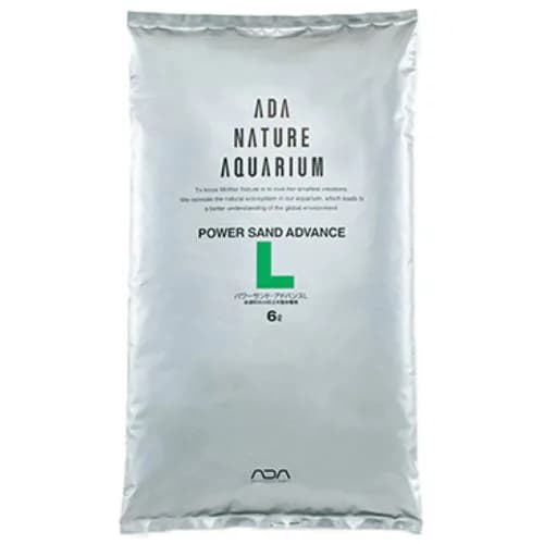 L (6L)