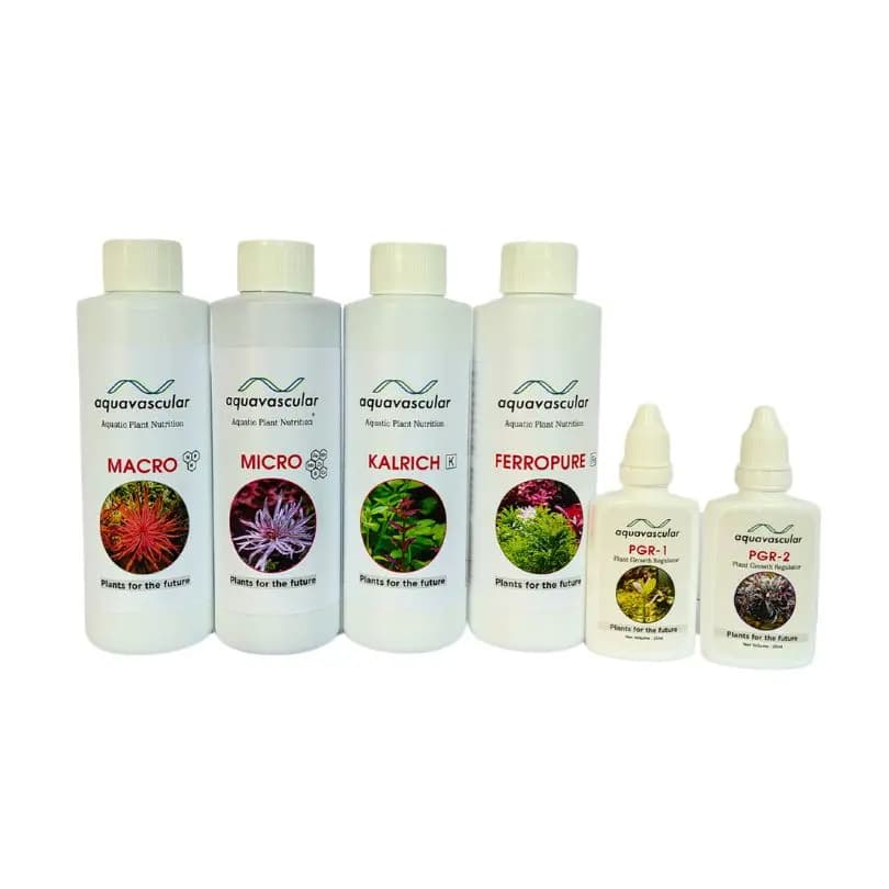 Buy Aquavascular All in One Pack, aquarium fertilizer bundle India, planted tank nutrient pack, aquarium macro micro combo, aquascaping fertilizer set, complete plant fertilizer kit, aquarium maintenance kit India, planted tank beginner bundle, aquarium plant nutrient system, freshwater plant fertilizer pack