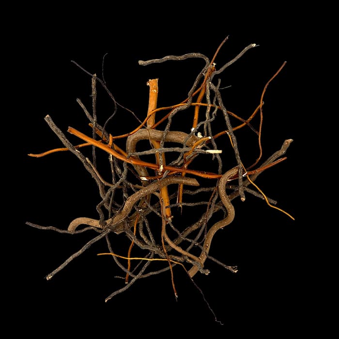 Buy WIO Mix Roots 140g Online India, aquarium root decoration India, mixed root aquascaping material, biotope aquarium root mix, paludarium root decor, WIO mix roots, natural aquascape root detailing, riverbank aquascaping materials