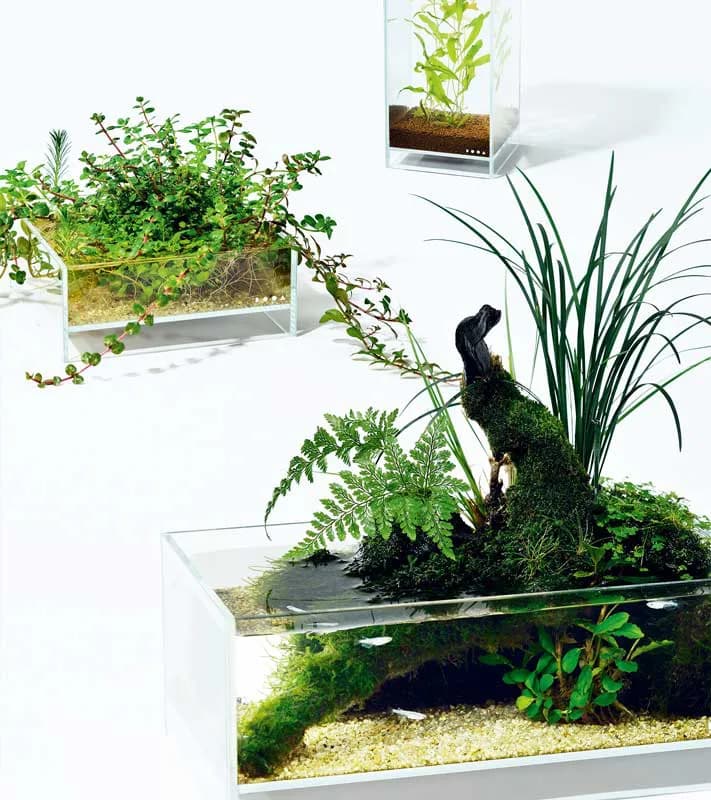 DOOA Neo Glass AIR W30×D30×H45 (cm)