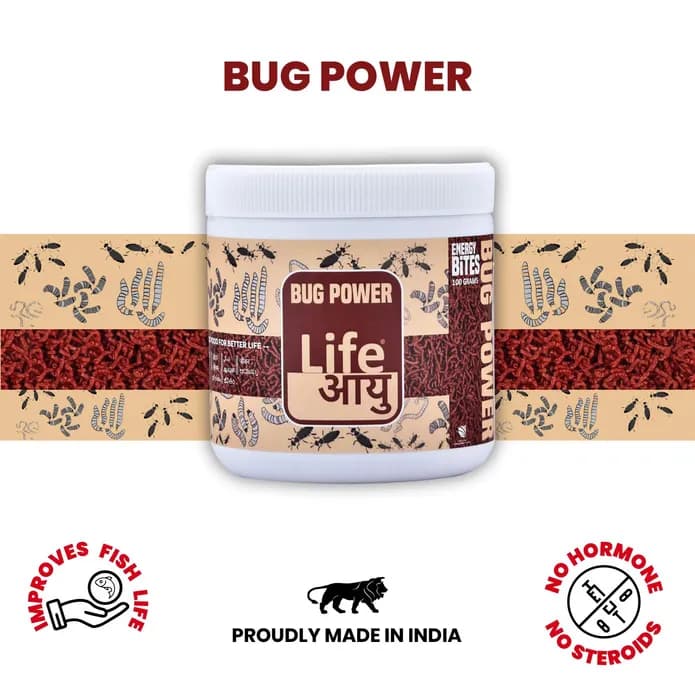 Buy Life AAYU Bug Power, insect-based fish food India, bug protein fish pellets, BSFL fish food, 100g fish food, 200g fish food, high protein aquarium food, natural colour enhancing fish food, tropical fish insect diet, eco friendly fish food India