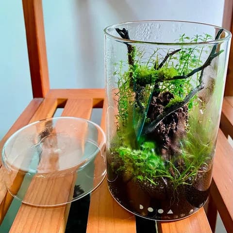 DOOA Glass Pot MARU
