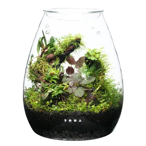 DOOA Glass Pot SHIZUKU