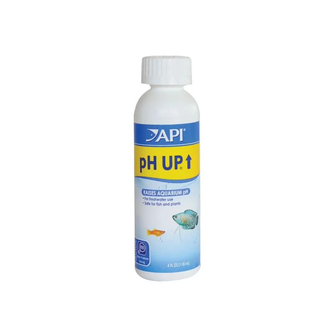 Buy API pH Up 118ml Online India, aquarium pH increaser India, freshwater pH booster solution, API water conditioner price India, raise aquarium pH safely, fish tank alkaline water treatment, API aquarium treatment 118ml, African cichlid pH adjustment, aquarium water chemistry products India