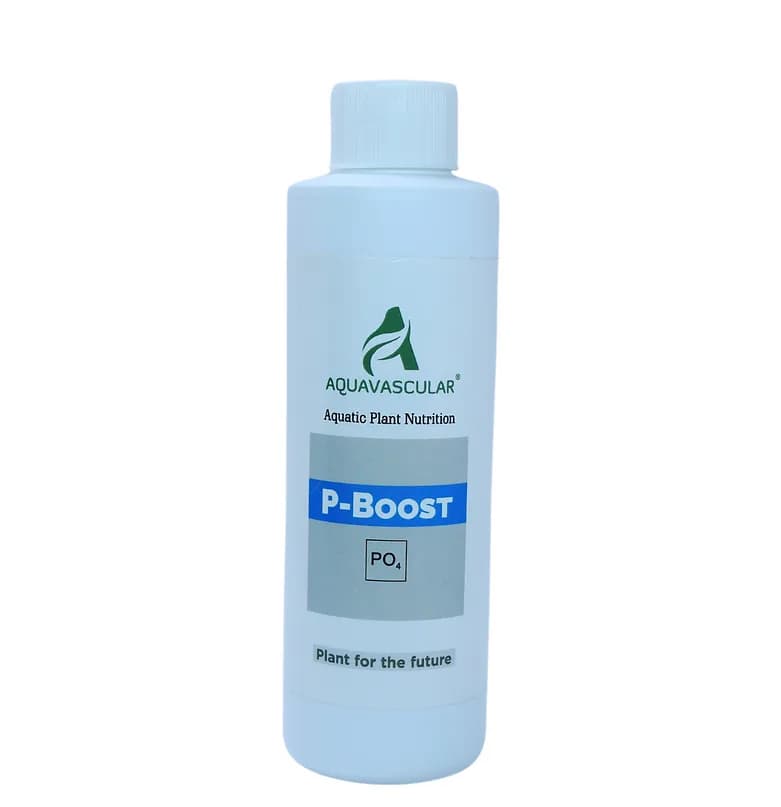 Buy Aquavascular P-Boost, aquarium phosphorus fertilizer India, phosphorus supplement aquarium plants, planted tank P fertilizer, liquid phosphorus aquarium, aquarium plant macronutrient fertilizer, CO2 tank phosphorus dosing, stem plant fertilizer India, planted tank deficiency correction, aquatic plant phosphorus booster