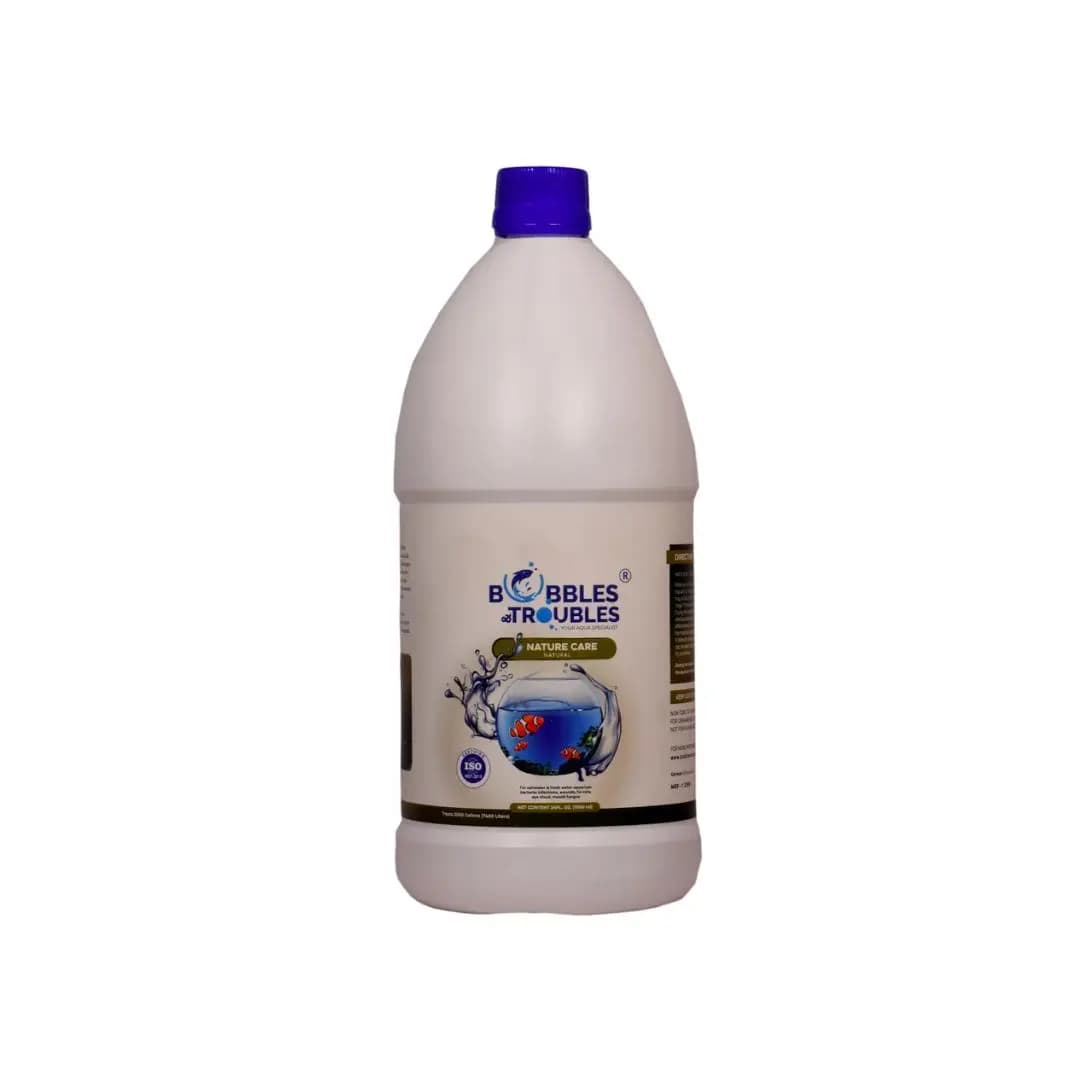 1L