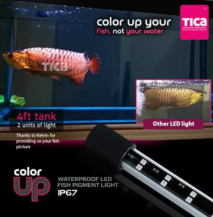 Buy TIKA Colorup 2 Series Aquarium Light, 172cms, Enhances the natural colors of your freshwater fish, making them more vibrant and visually appealing