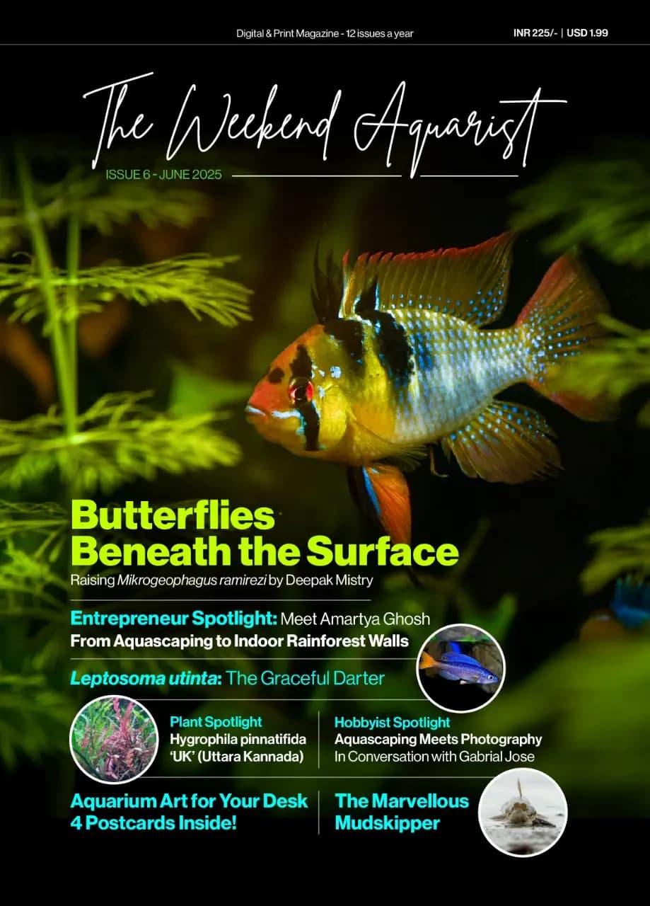 Buy The Weekend Aquarist - June 2025 Edition magazine