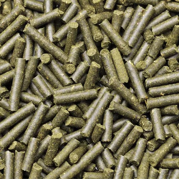 Buy Dennerle Shrimp King Complete Feed, Shrimp King Complete, Dennerle shrimp food sticks, staple food for freshwater dwarf shrimp, shrimp food 100% natural ingredients, sinkable water stable shrimp food, shrimp king complete feeding recommendation, shrimp pellets sticks for aquarium shrimp, Dennerle shrimp king complete India