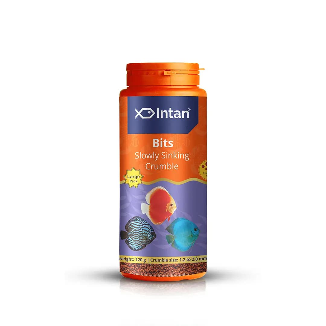Intan Bits - Slow Sinking Fish Food | Crumble - Intan Bits fish food, slow sinking crumble for discus, Discus fish food India, colour enhancing fish food, Antarctic krill fish feed, community fish food for Danios and Barbs, high protein discus food, best food for vibrant fish colours