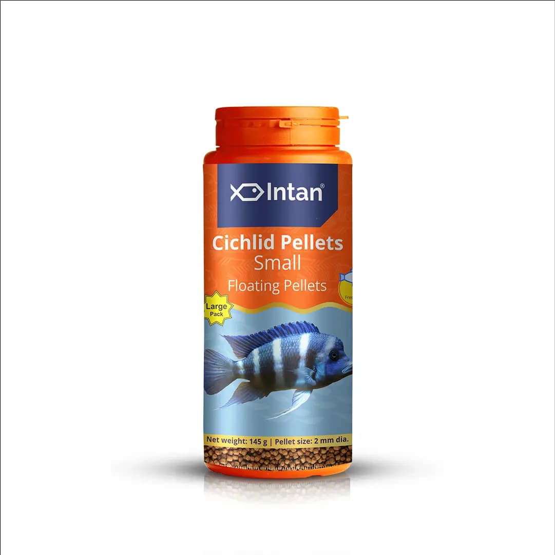 Intan Cichlid Pellets - Small | Floating Fish Food - Intan Cichlid Pellets Small, floating fish food for cichlids, African Cichlid food India, Mbuna fish pellets, Peacock Cichlid colour enhancing food, high protein cichlid diet, best food for juvenile cichlids, cichlid fish food with astaxanthin