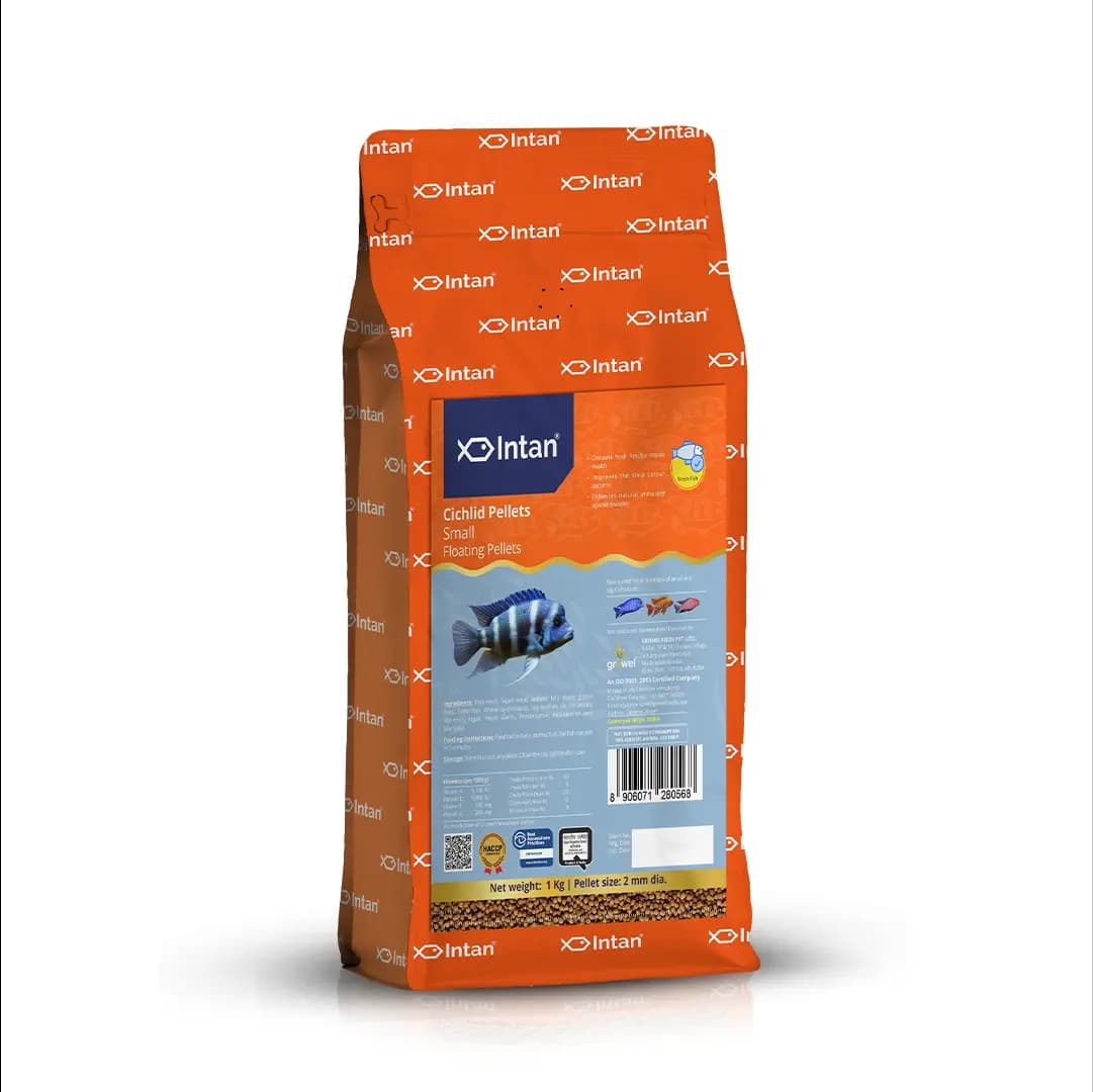 Intan Cichlid Pellets - Small | Floating Fish Food - Intan Cichlid Pellets Small, floating fish food for cichlids, African Cichlid food India, Mbuna fish pellets, Peacock Cichlid colour enhancing food, high protein cichlid diet, best food for juvenile cichlids, cichlid fish food with astaxanthin