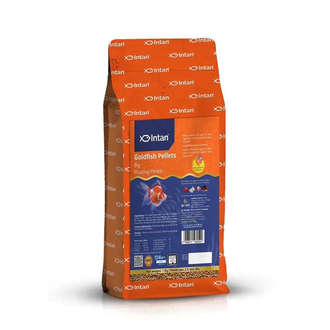Intan Goldfish Pellets - Big | Floating Fish Food - Intan Goldfish Pellets Big, floating fish food for goldfish India, best goldfish food for colour enhancement, Ryukin Ranchu fish food, natural goldfish pellets no artificial colour, high protein goldfish food India, Intan fish feed 2.5mm pellets, goldfish food for Red Cap and Lionhead