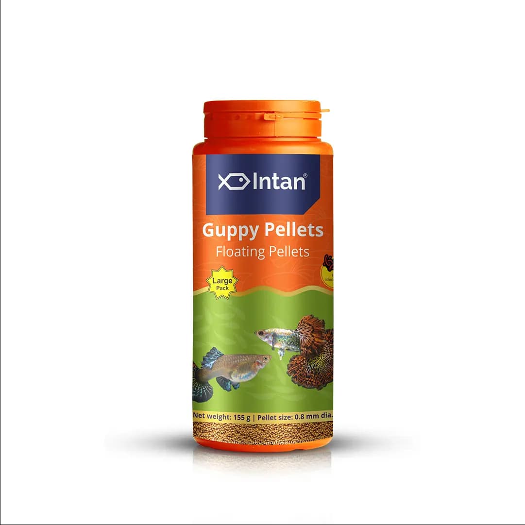 Intan Guppy Pellets - Floating Fish Food - Intan Guppy Pellets, floating fish food for guppies, best guppy food India, guppy colour enhancing food, 0.8mm fish pellets, surface feeding fish food, guppy nutrition, high protein guppy food, astaxanthin fish food India
