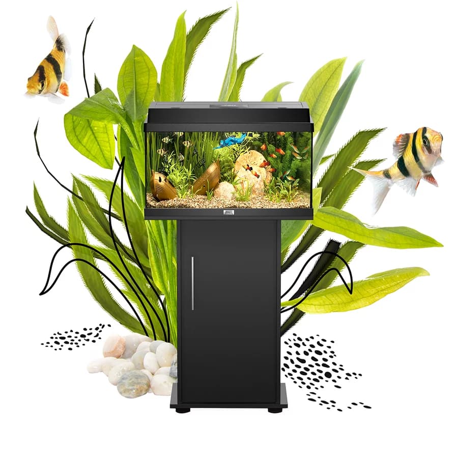 Buy Juwel Primo 60 LED aquarium, Novolux LED lighting, compact LED aquarium, energy-efficient aquarium light, condensation managing aquarium cover, aquariums with feeding hatch, TÜV GS certified aquarium, beginner aquarium setup, small aquarium with LED, JUWEL automatic feeder compatible, high brightness aquarium, efficient aquarium lighting india