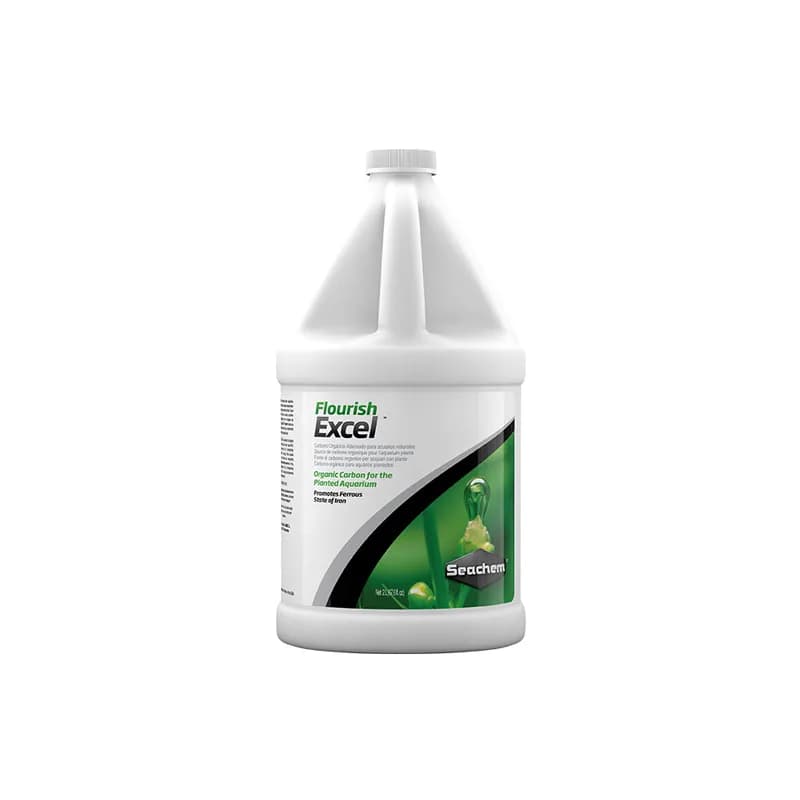2L