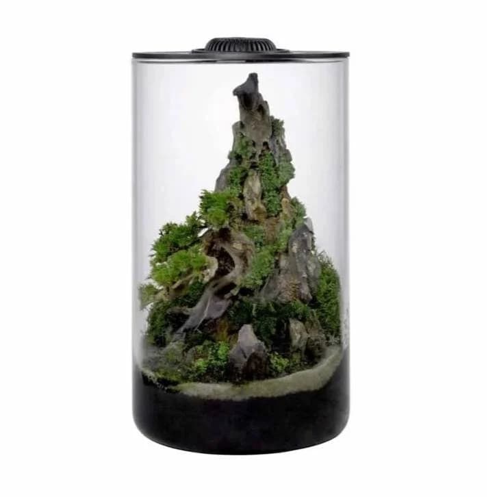 Buy Wabi Kusa Bio Cylinder 150 India, Wabi Kusa LED display India, Wabi Kusa glass cylinder India, Wabi Kusa mini terrarium India, moss terrarium with LED India, indoor plant cylinder India, aquascaping Wabi Kusa setup India, Wabi Kusa Bio Cylinder black white India, buy Wabi Kusa LED terrarium online India