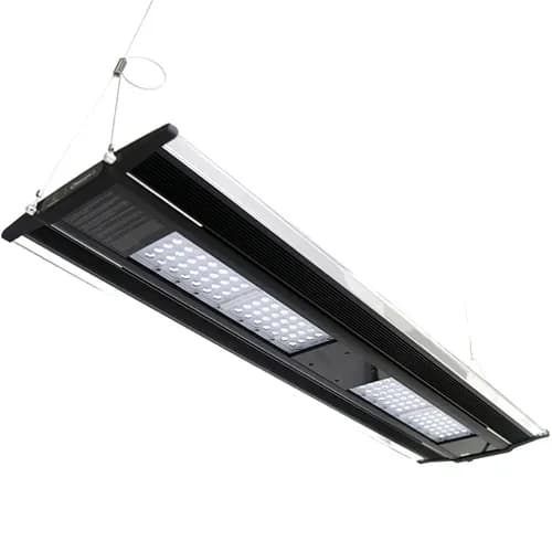 Zetlight QMaven Q6 aquarium light, Zetlight Q6 60 90 120, Zetlight planted tank light India, LED aquarium light for planted tank, full spectrum aquarium light India, Zetlight aquarium lighting India, planted aquarium LED light, aquascaping light India, aquarium light for 60cm 90cm 120cm tank, professional aquarium lighting India
