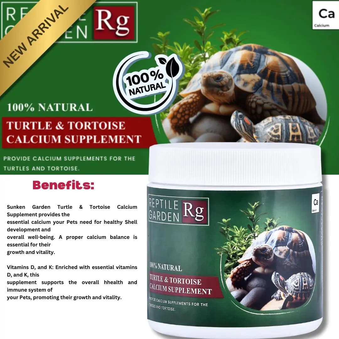 Reptile Garden Turtle & Tortoise Calcium Supplement - turtle calcium supplement India, tortoise calcium powder, reptile calcium supplement with vitamin D, calcium supplement for turtles and tortoises, natural reptile calcium supplement, stress relieving essential oils for reptiles, aquarium products india calcium supplement, turtle shell health supplement, vitamin D K calcium reptile, reptile garden calcium supplement