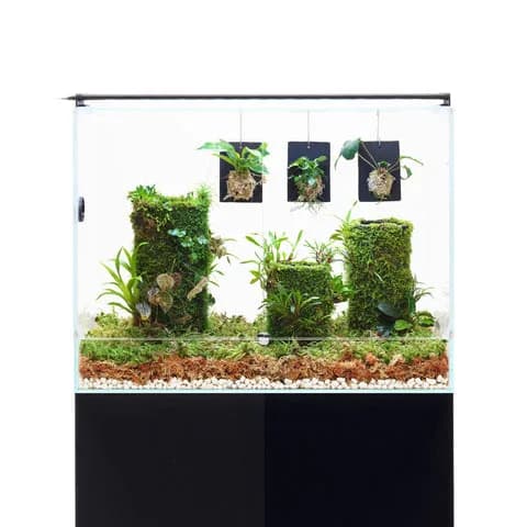 DOOA Neo Glass Paluda 30