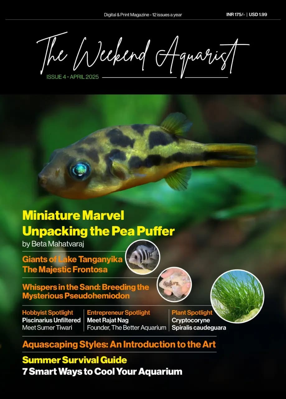 Buy The Weekend Aquarist - April 2025 Edition magazine