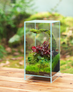 DOOA Neo Glass AIR W20×D20×H35 (cm) - Aqua Club