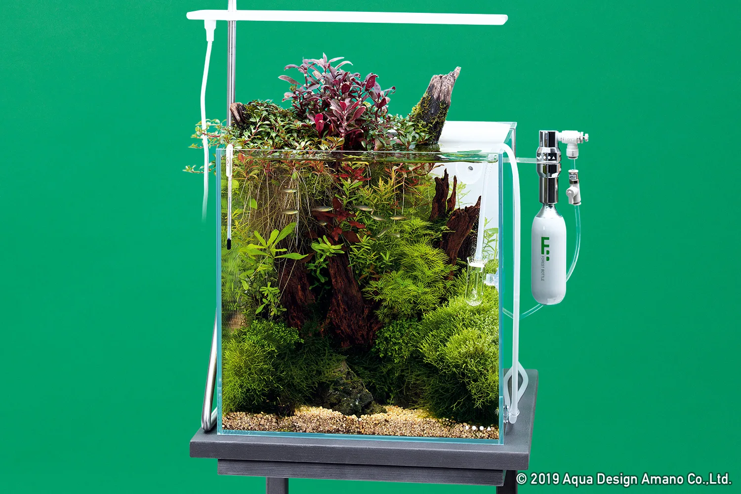 DOOA System AQUA 30 - Aqua Club