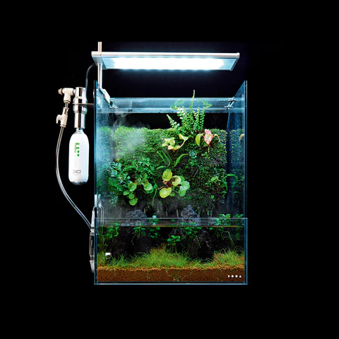 DOOA System TERRA 30 Mistflow Set - Aqua Club