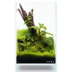 DOOA Neo Glass AIR W15×D15×H25 (cm)