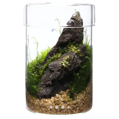 DOOA Glass Pot MARU - Aqua Club