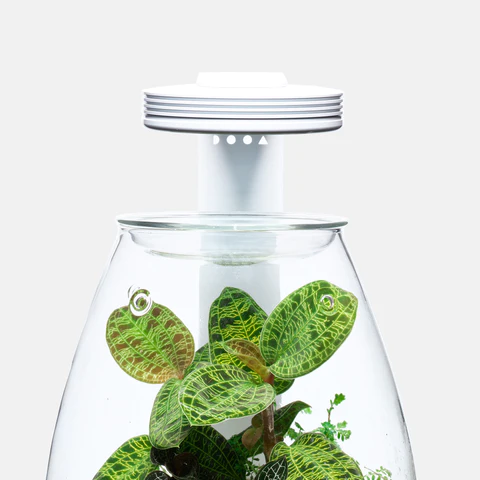 GLASS POT MARU 95 / 130 | PRODUCTS | DOOA dooa glasspot maru130