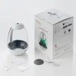 Chihiros Tiny Terrarium Egg