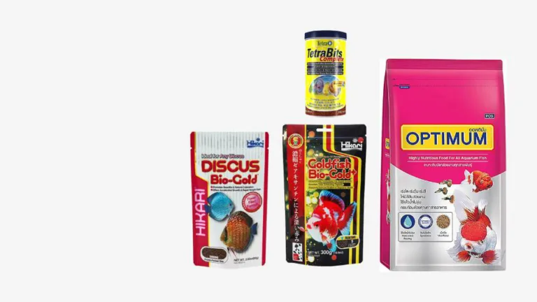 Buy fish food, buy optium fish food, buy hikari fish food