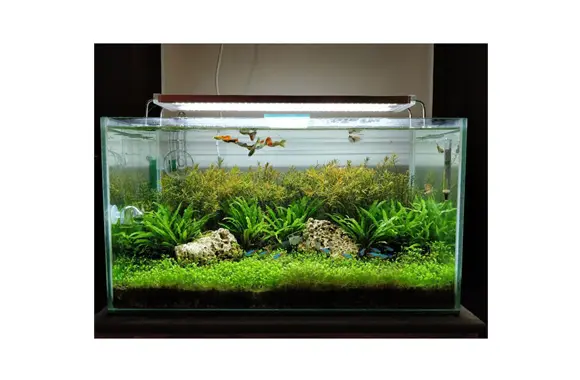 ADA Light Screen - Aqua Club
