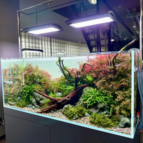 ADA SOLAR RGB II Aquarium Light - Aqua Club
