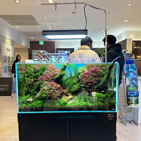 ADA SOLAR RGB II Aquarium Light - Aqua Club
