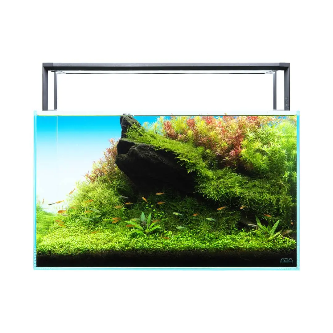 ADA Aquasky RGB II 60 Aquarium Light - Aqua Club