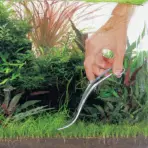 Buy ADA Pro Scissors wave Online, Buy aquarium products online, Best Aquarium products store in india, Buy ADA products, Aquascaping essentials, curved scissor, straight scissor