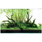 Buy ADA Light Screen, light screen 60, light screen 90, best aquarium light, ada aquarium lights, affordable aquarium light. top aquarium light for planted aquarium