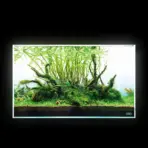 Buy ADA Light Screen, light screen 60, light screen 90, best aquarium light, ada aquarium lights, affordable aquarium light. top aquarium light for planted aquarium