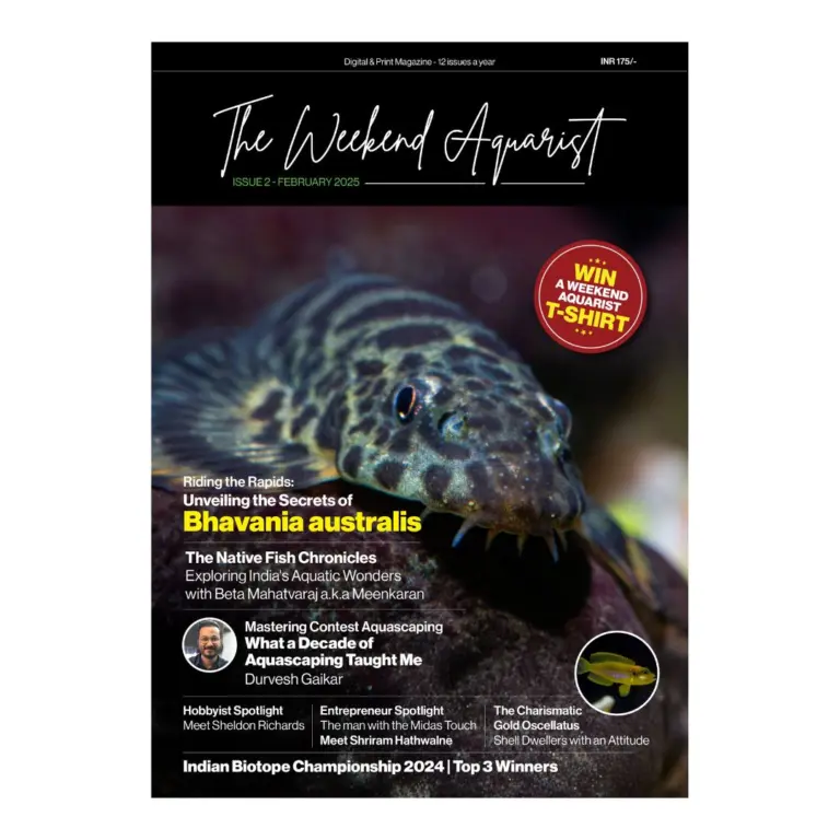 The Weekend Aquarist - February 2025 Edition Magazine