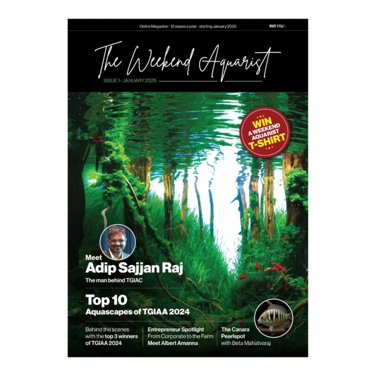 The Weekend Aquarist - Jan 2025 Magazine