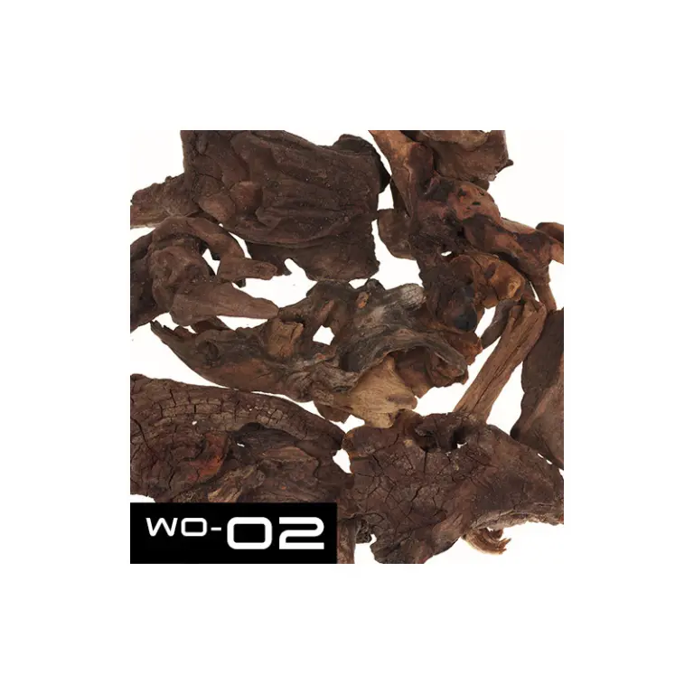 Buy ADA KUMU WO-02 - Horn Wood Pieces (4 pieces),ADA hardscaping, Best hardscaping, buy Horn Wood