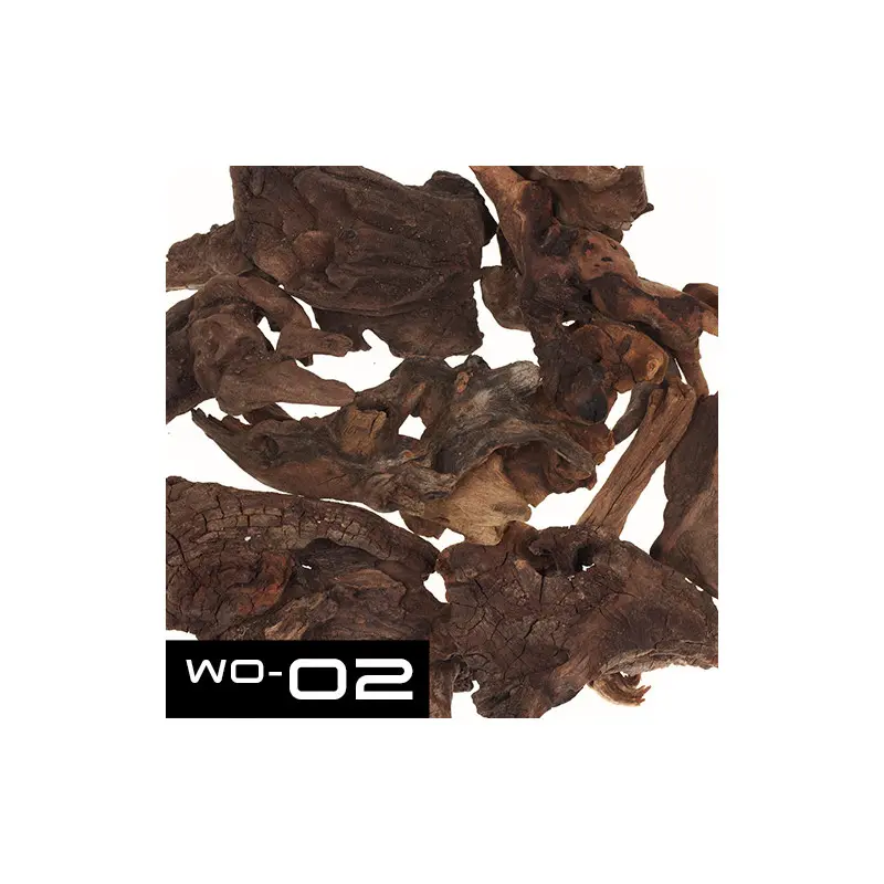 Buy ADA KUMU WO-02 - Horn Wood Pieces (4 pieces),ADA hardscaping, Best hardscaping, buy Horn Wood